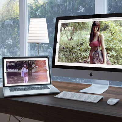 WebThumb12.jpg